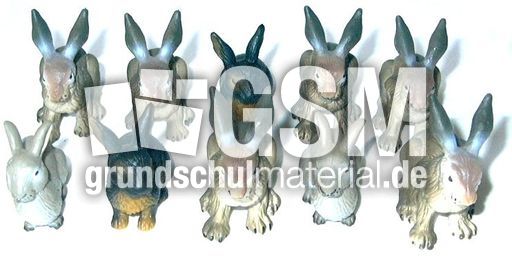 Hasen-10A.jpg